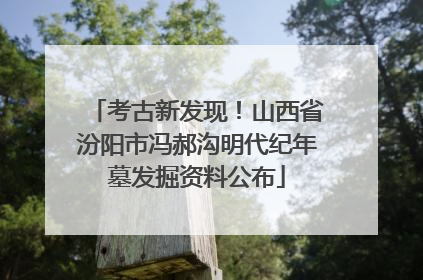 考古新发现！山西省汾阳市冯郝沟明代纪年墓发掘资料公布